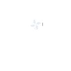 App MoSiG Estoque